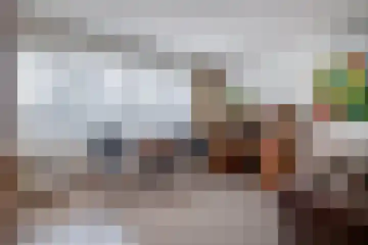 Schadewijkstraat 28 Eersel thumbnail 8