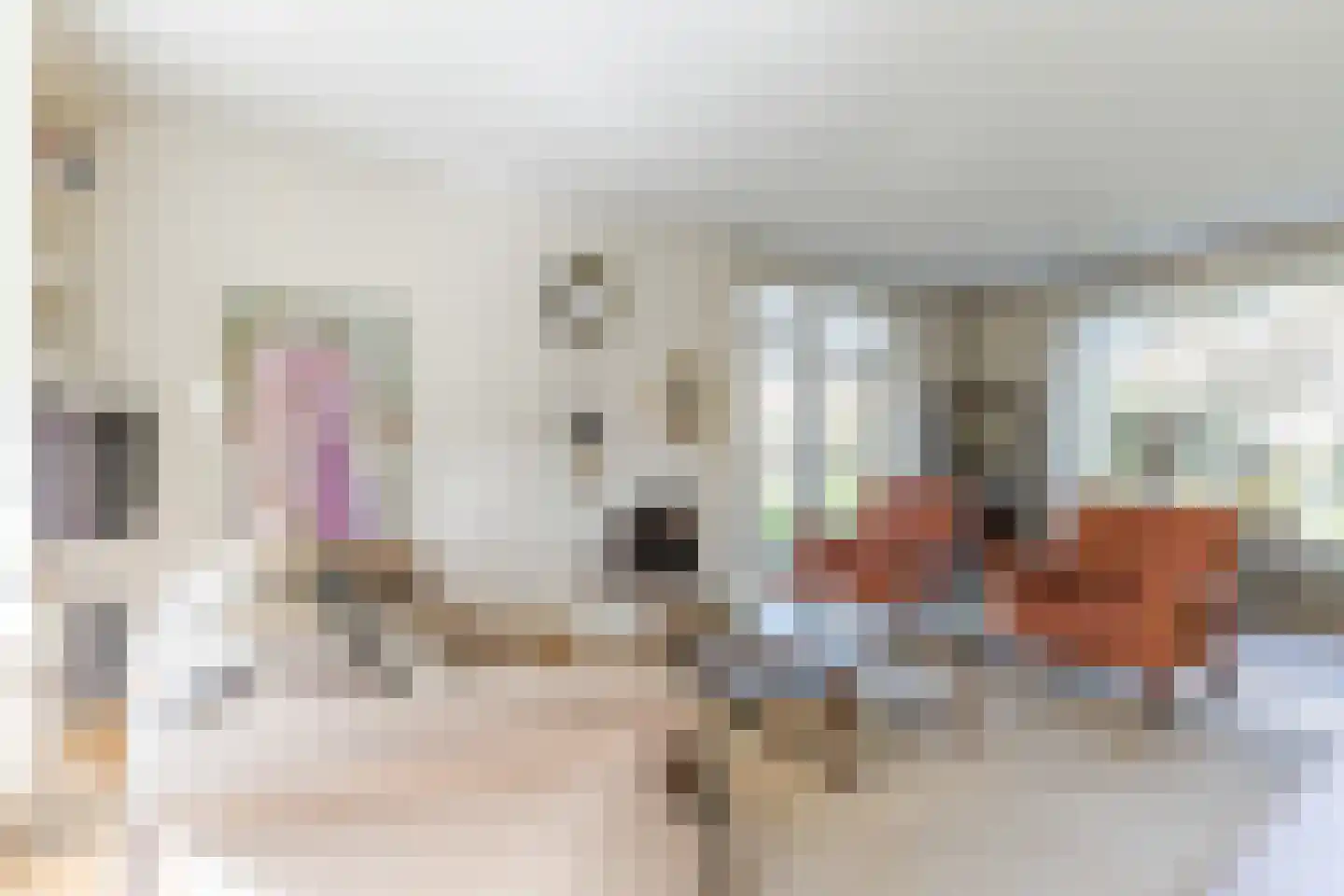 Schadewijkstraat 34 Eersel thumbnail 12