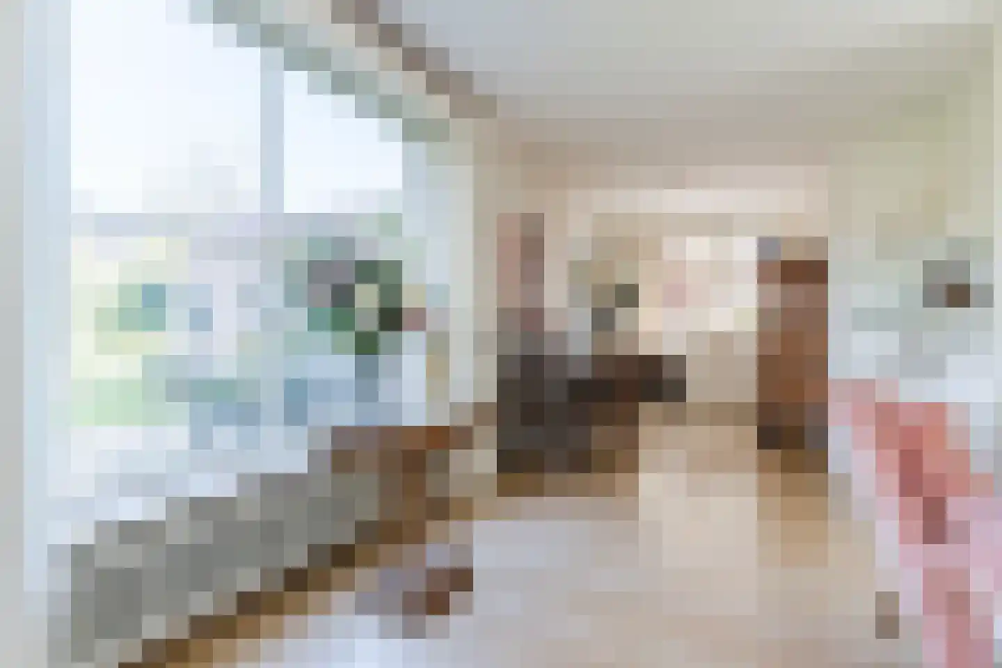 Schadewijkstraat 34 Eersel thumbnail 13