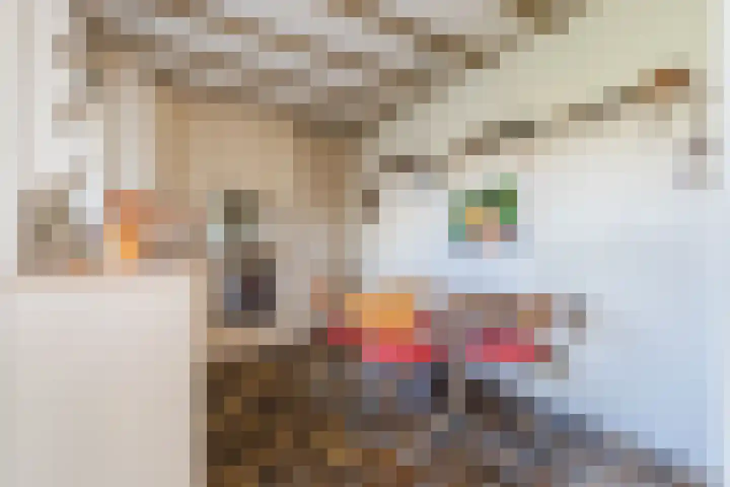 Schadewijkstraat 34 Eersel thumbnail 17