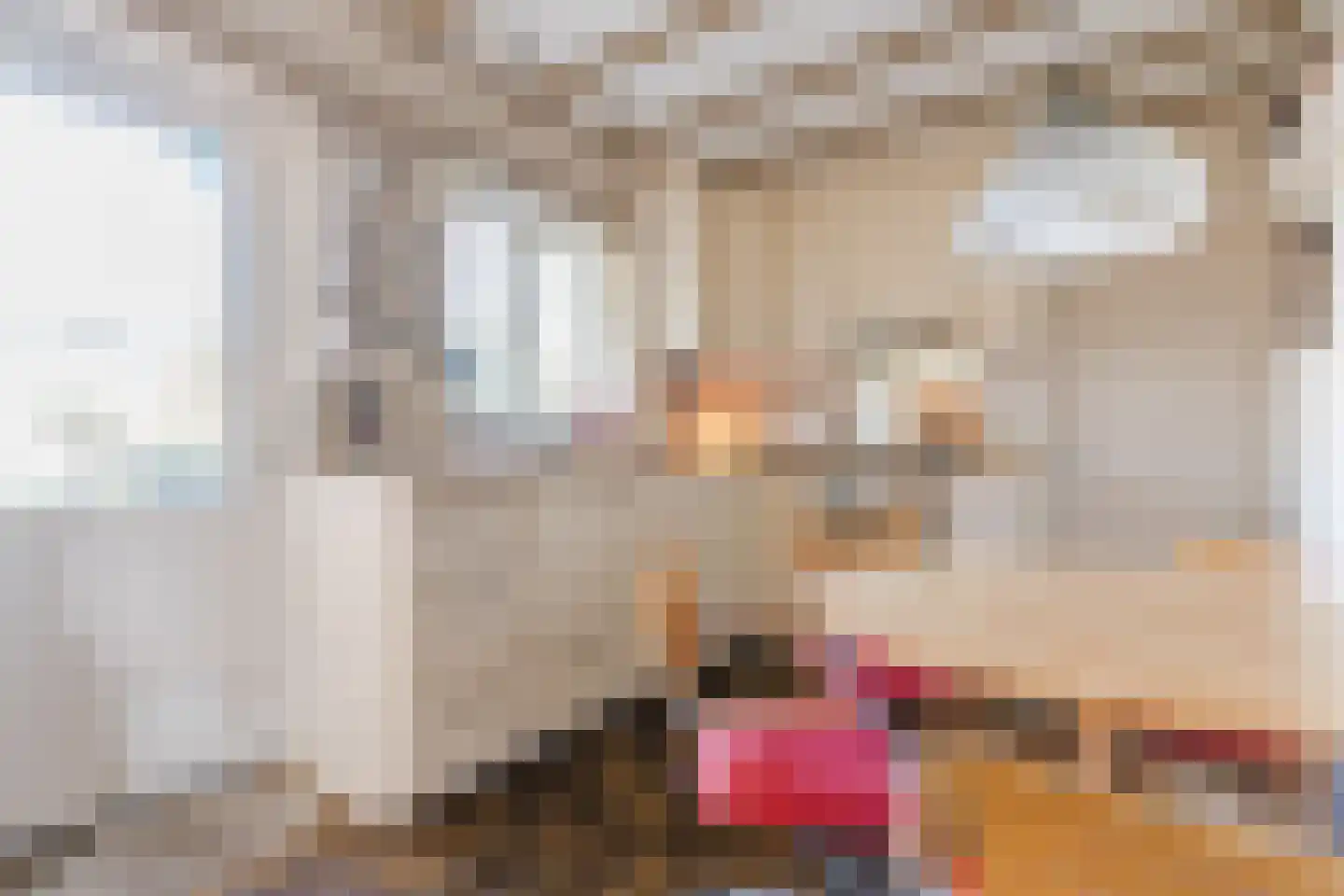 Schadewijkstraat 34 Eersel thumbnail 18