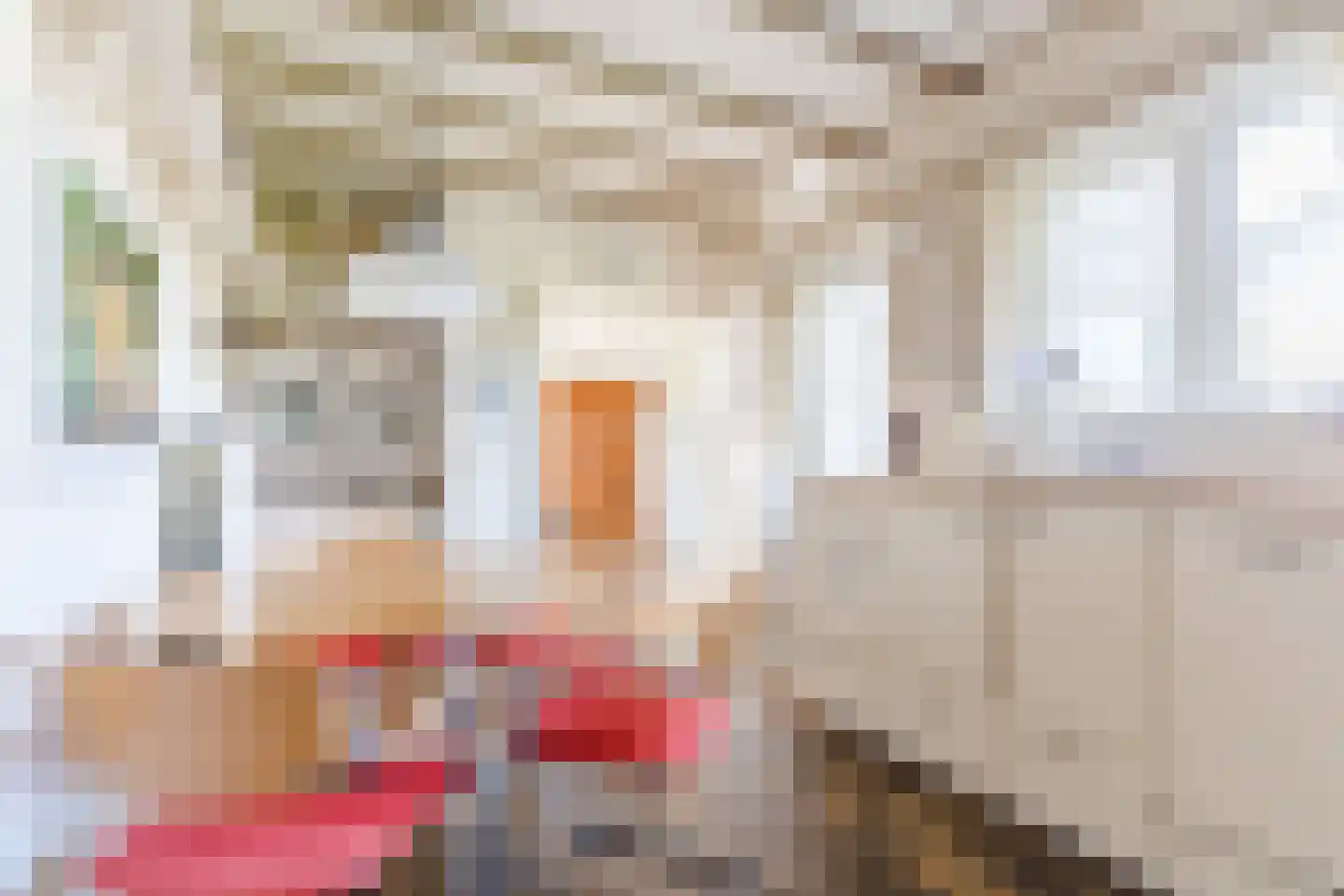 Schadewijkstraat 34 Eersel thumbnail 20