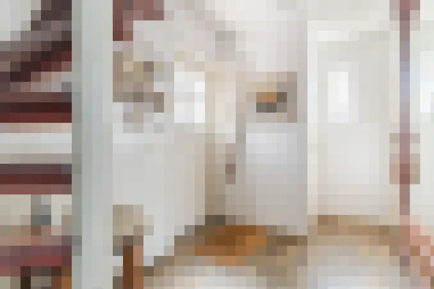 Schadewijkstraat 34 Eersel thumbnail 25