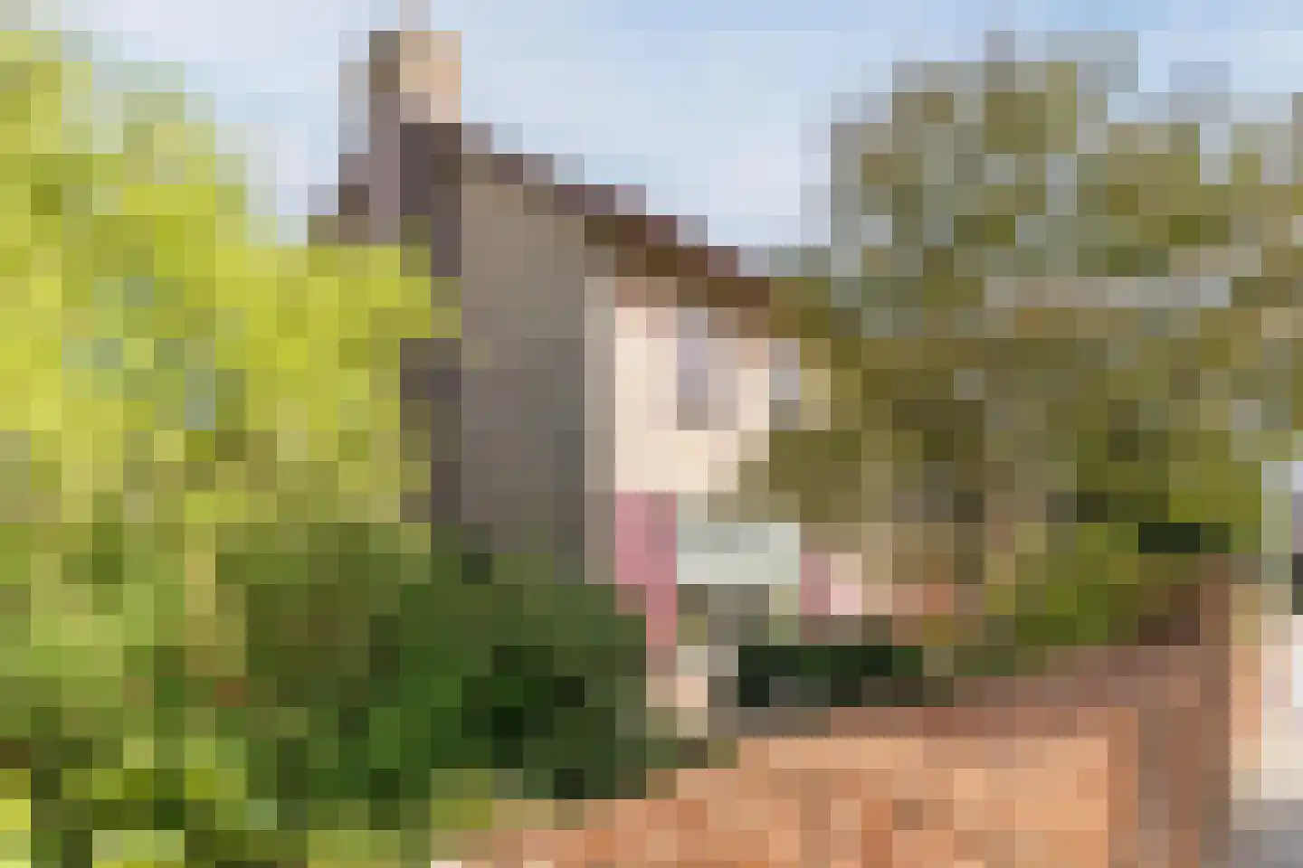 Schadewijkstraat 34 Eersel thumbnail 4