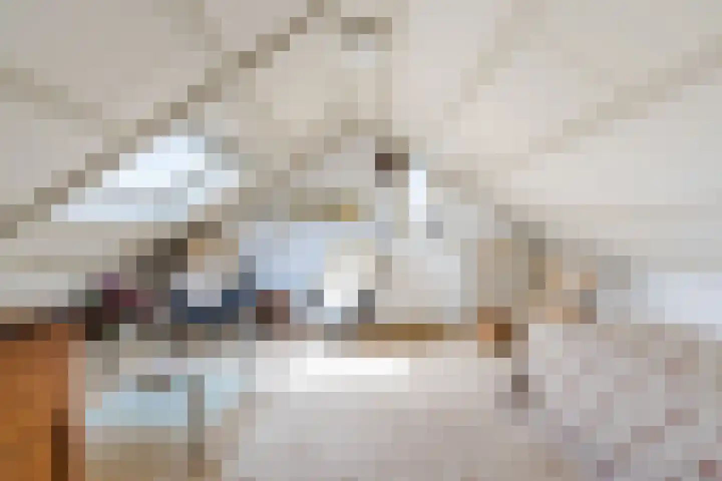 Schadewijkstraat 34 Eersel thumbnail 40