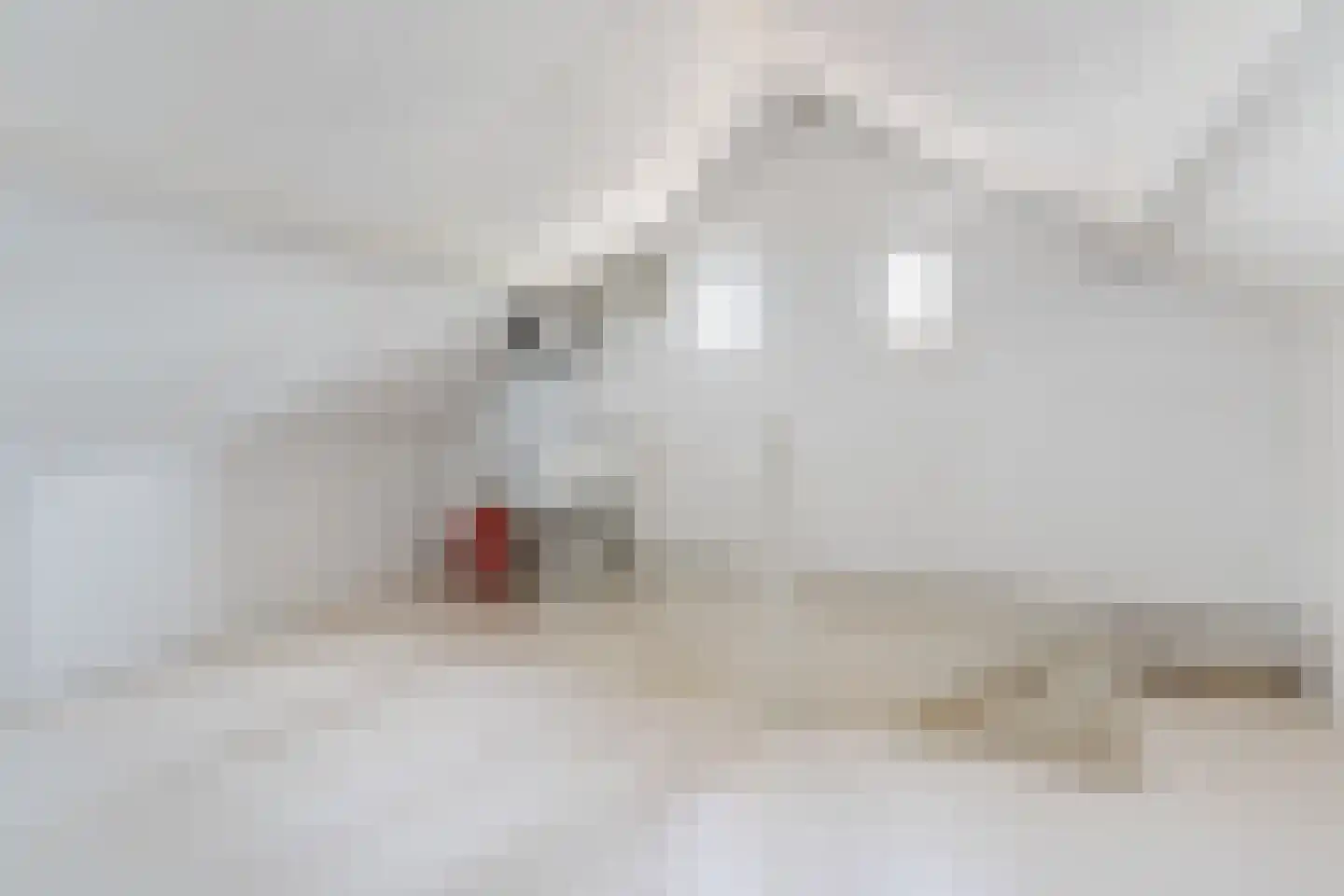 Schadewijkstraat 34 Eersel thumbnail 44