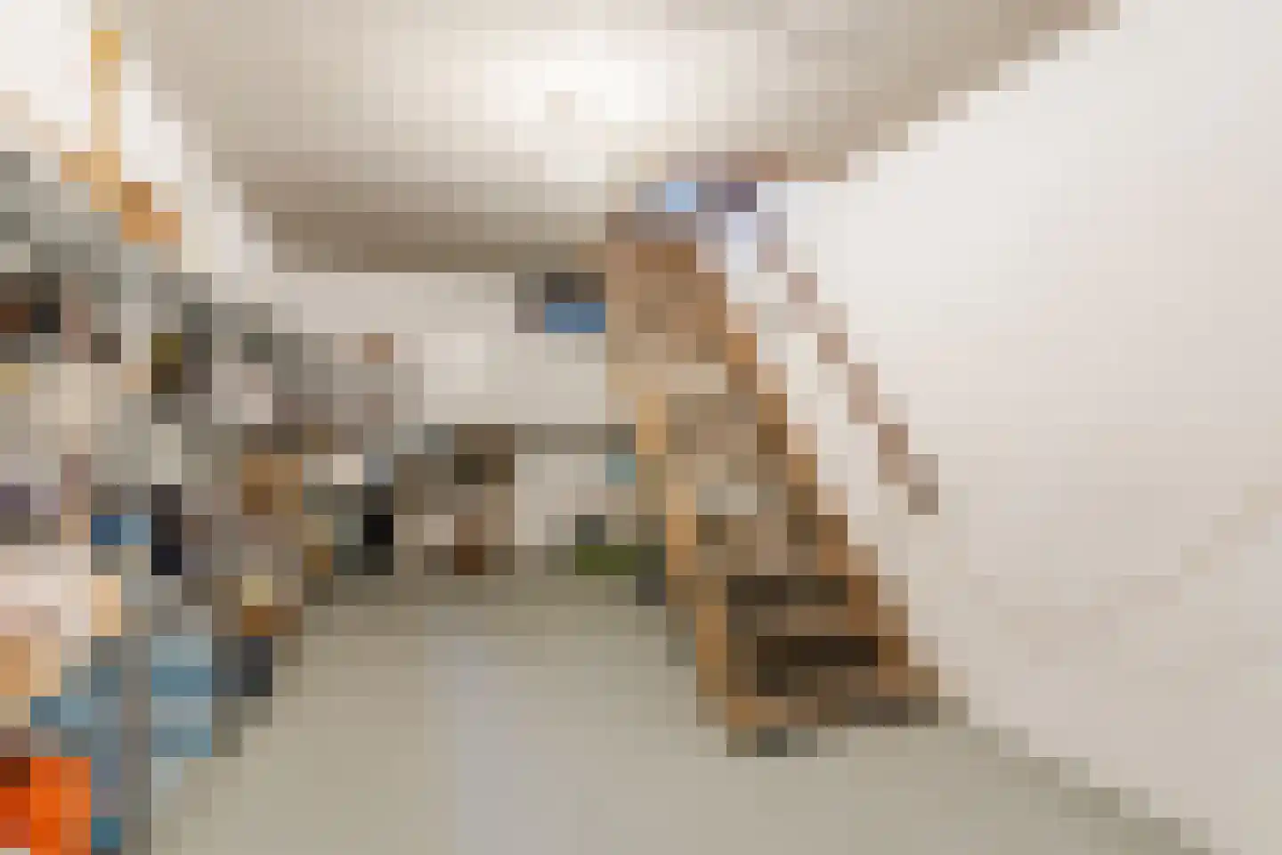 Schadewijkstraat 34 Eersel thumbnail 47