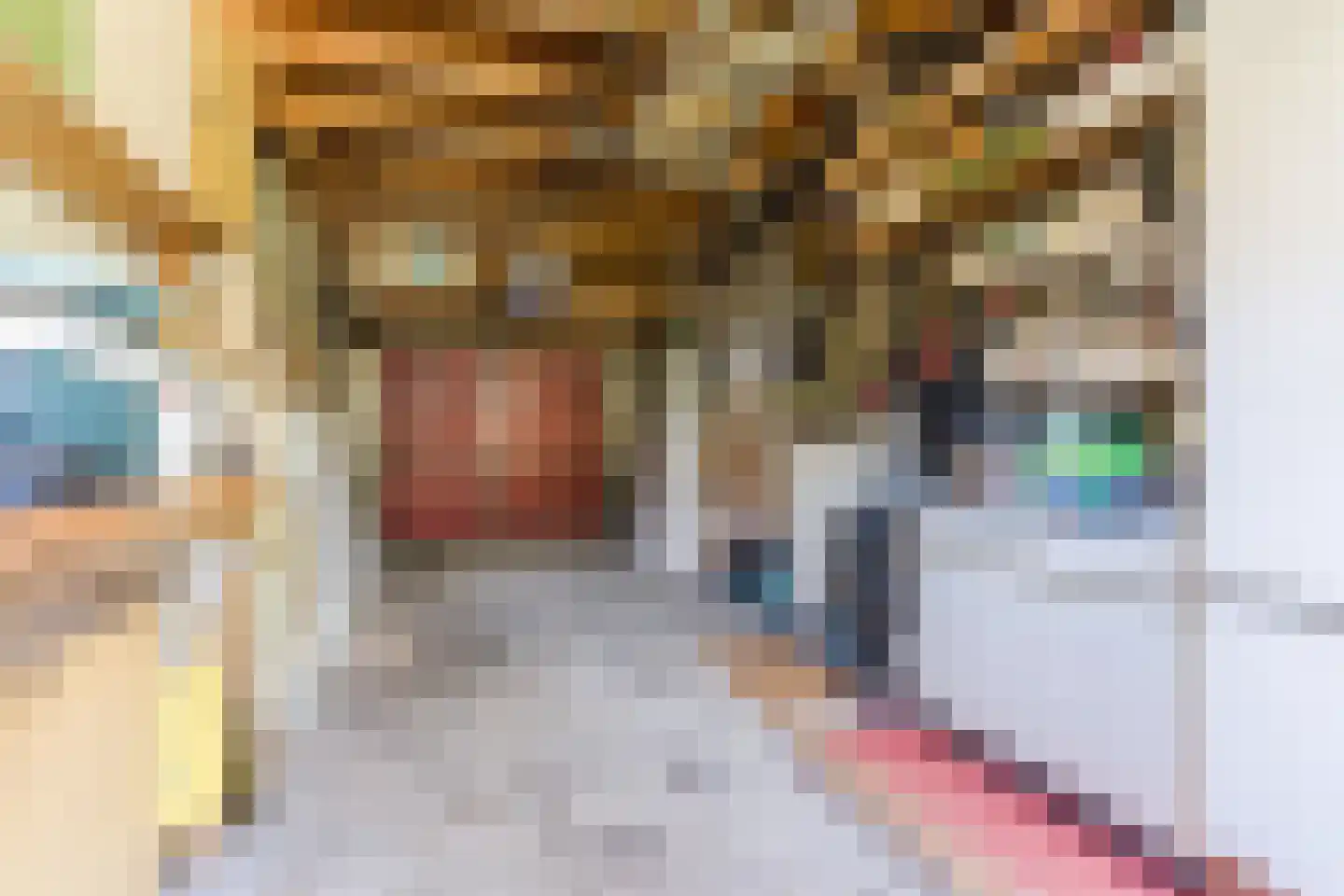 Schadewijkstraat 34 Eersel thumbnail 48