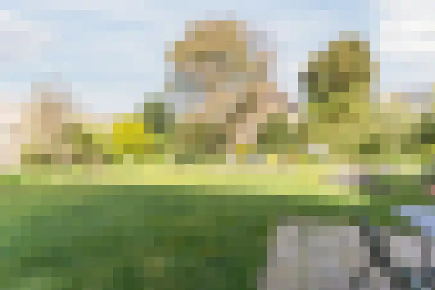 Schadewijkstraat 34 Eersel thumbnail 52