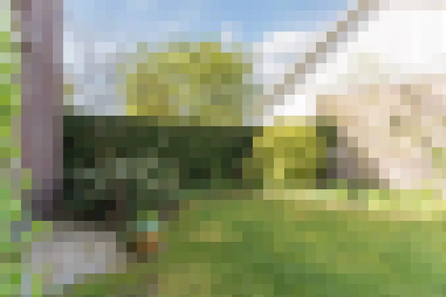 Schadewijkstraat 34 Eersel thumbnail 53