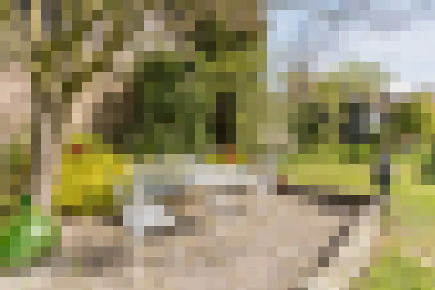 Schadewijkstraat 34 Eersel thumbnail 59