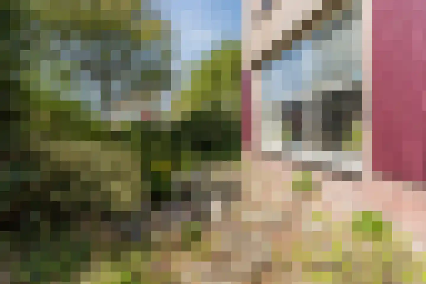 Schadewijkstraat 34 Eersel thumbnail 6