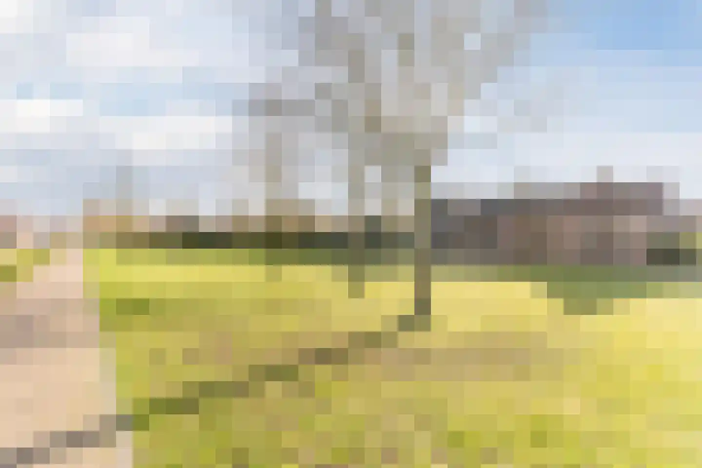 Schadewijkstraat 34 Eersel thumbnail 67