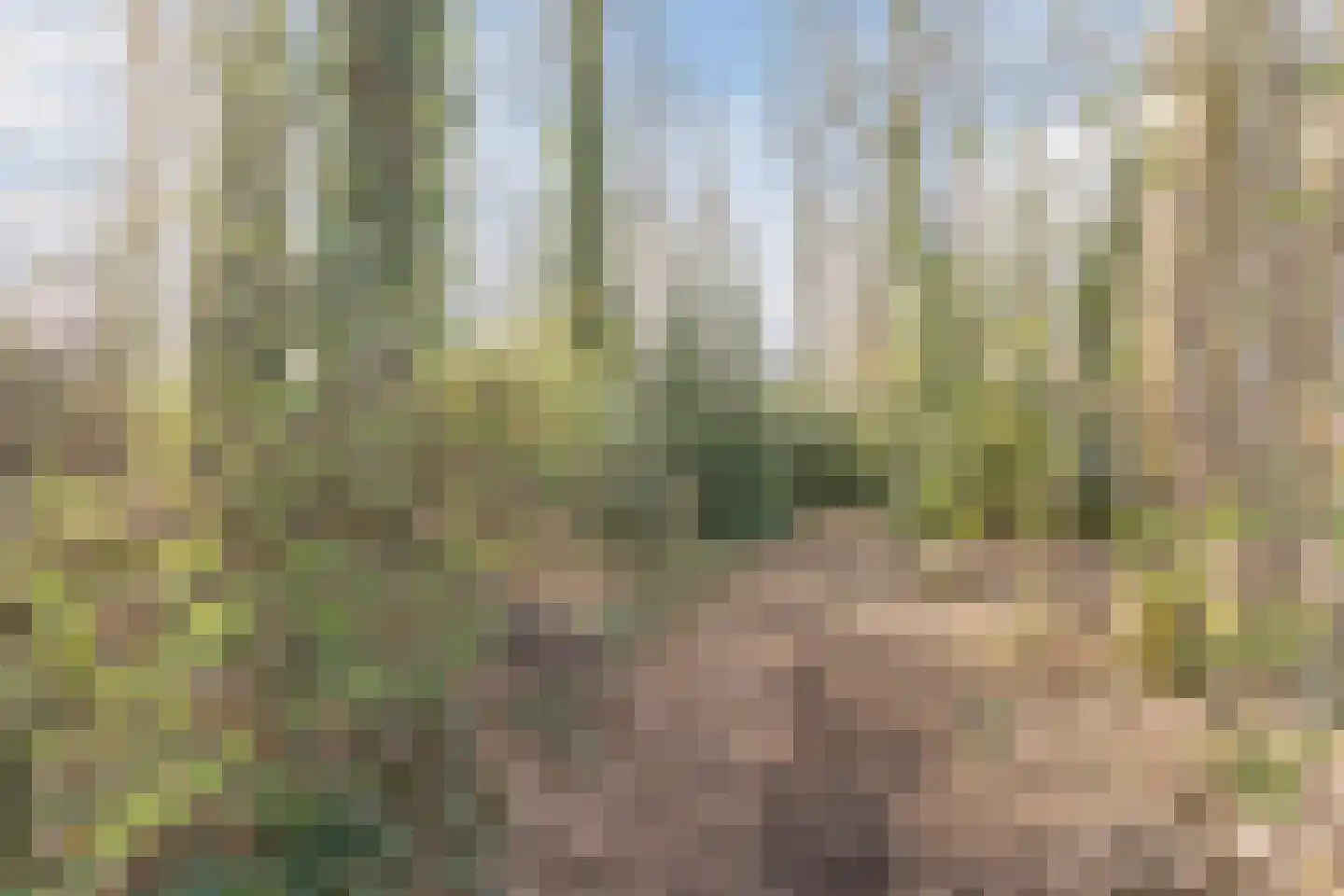 Schadewijkstraat 34 Eersel thumbnail 68