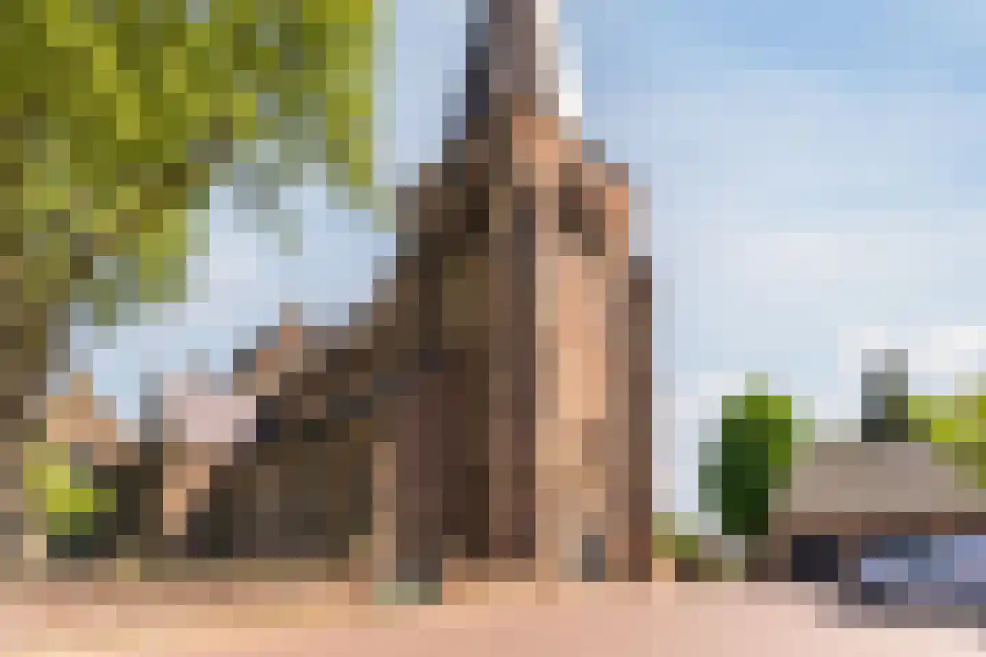 Schadewijkstraat 34 Eersel thumbnail 69