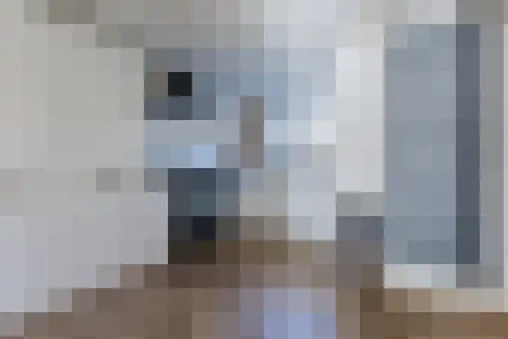 Schadewijkstraat 4 Eersel thumbnail 12