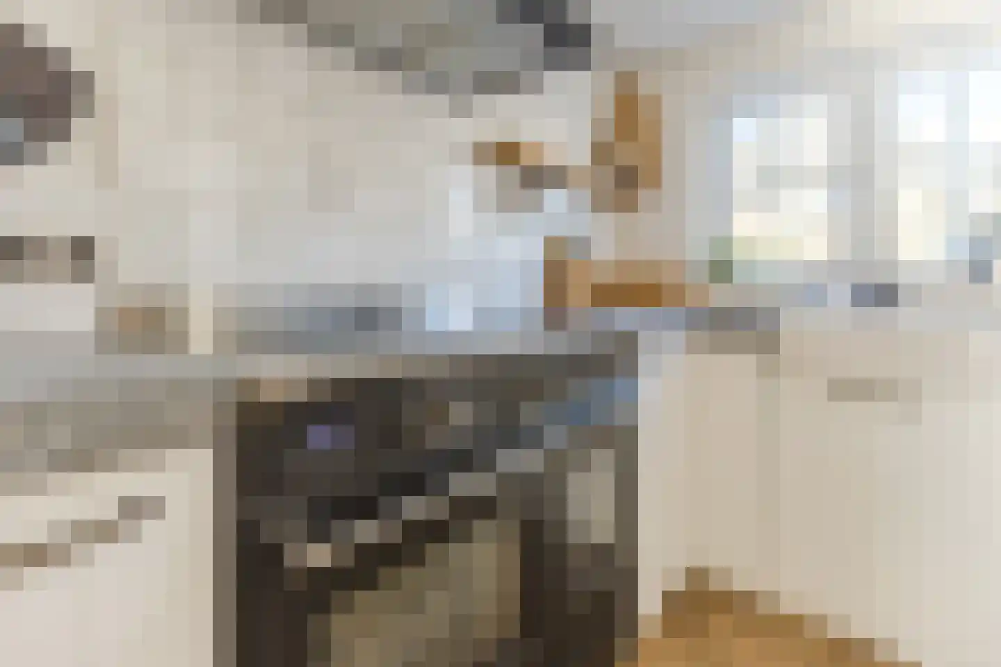 Schadewijkstraat 4 Eersel thumbnail 16