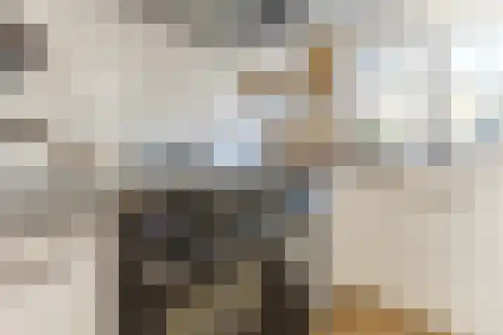 Schadewijkstraat 4 Eersel thumbnail 16
