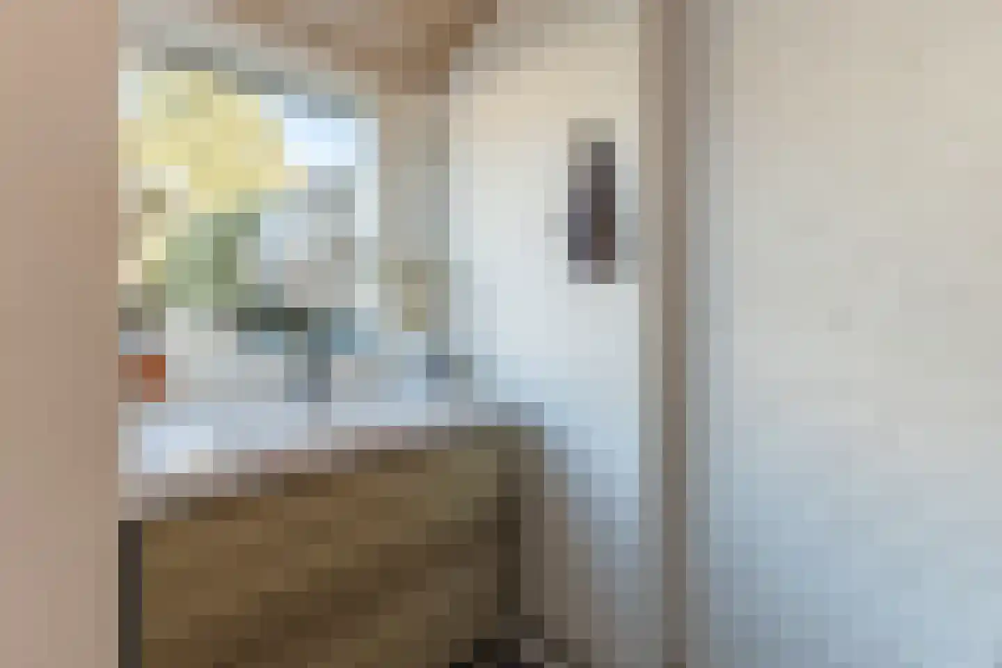 Schadewijkstraat 4 Eersel thumbnail 19