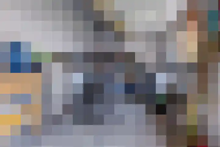Schadewijkstraat 4 Eersel thumbnail 35