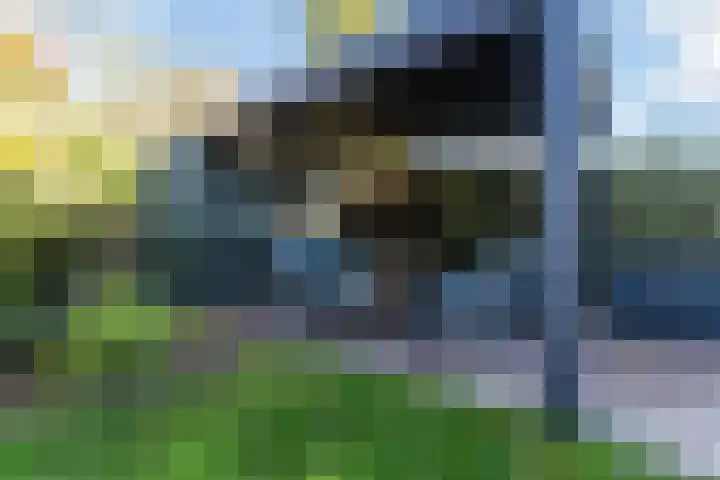 Schadewijkstraat 4 Eersel thumbnail 38
