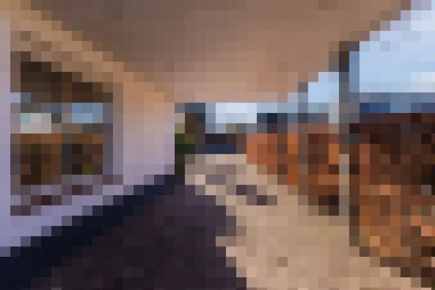 Schadewijkstraat 4 Eersel thumbnail 42