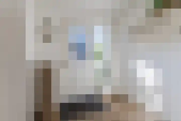 Schadewijkstraat 4 Eersel thumbnail 5