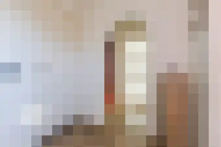 Schadewijkstraat 4 Eersel thumbnail 6