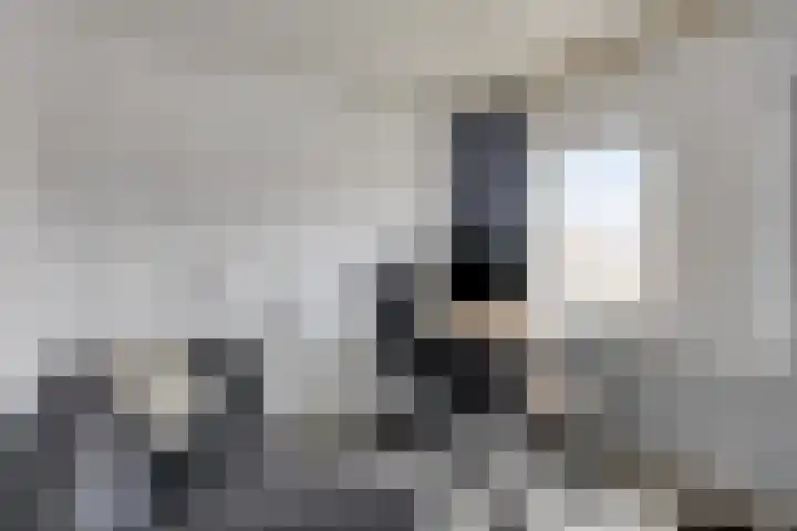 Schadewijkstraat 69 Oss thumbnail 20