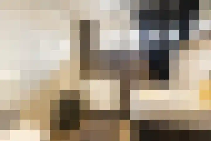 Schadijk 21 Veenendaal thumbnail 27