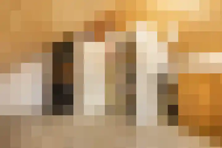 Schadijk 21 Veenendaal thumbnail 36