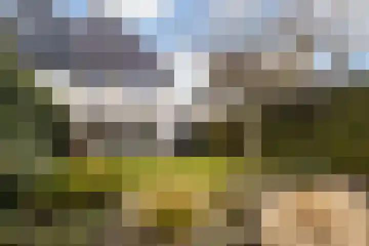 Schadijk 21 Veenendaal thumbnail 38
