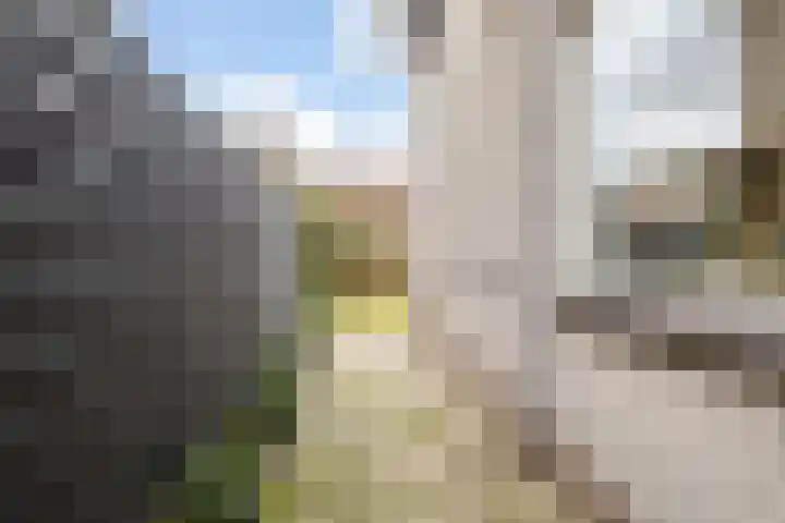 Schadijk 21 Veenendaal thumbnail 40