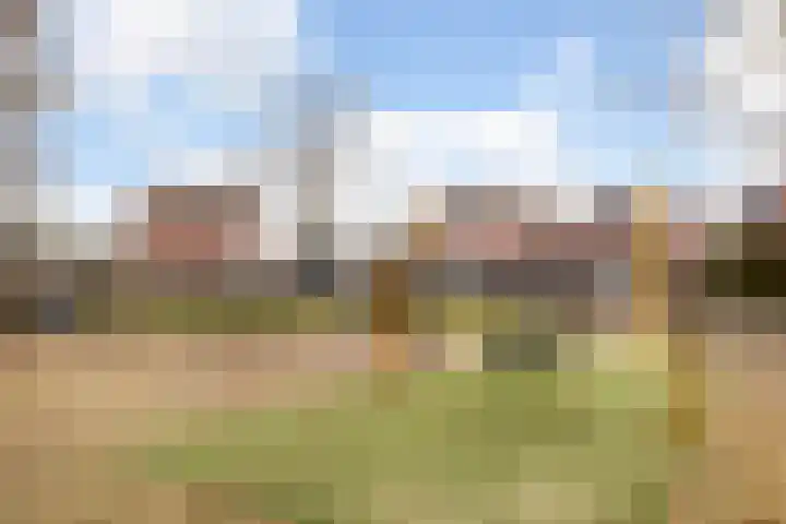 Schadijk 21 Veenendaal thumbnail 44