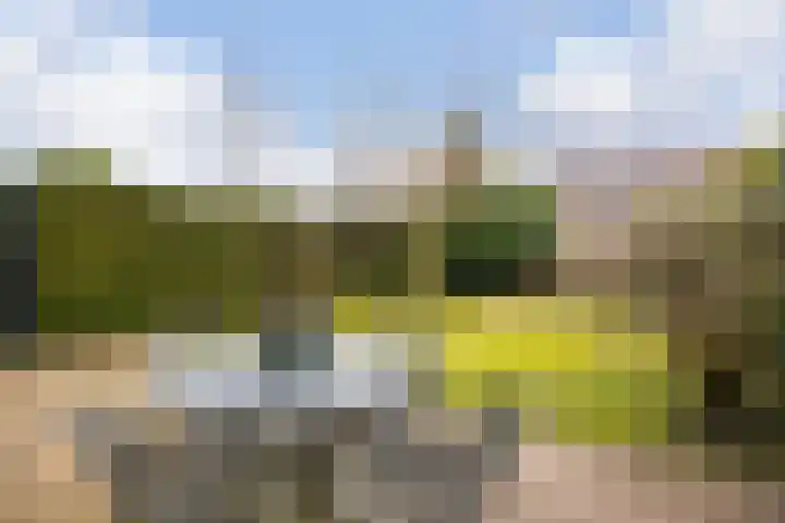 Schadijk 21 Veenendaal thumbnail 46