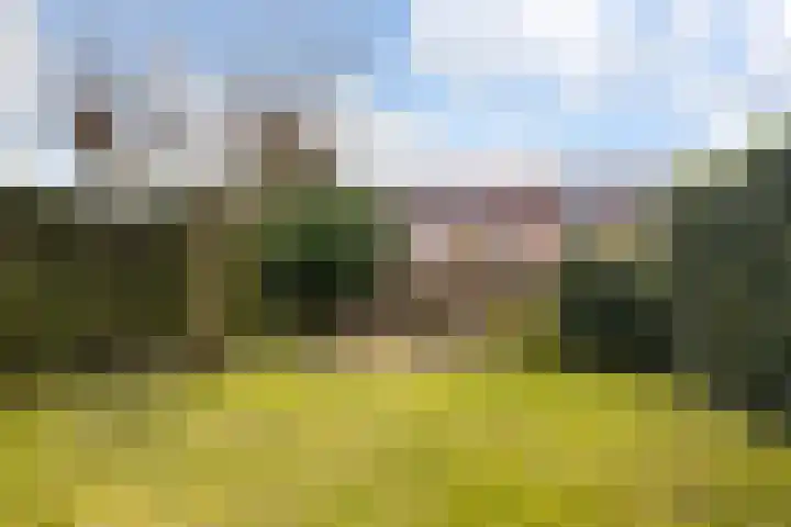 Schadijk 21 Veenendaal thumbnail 47