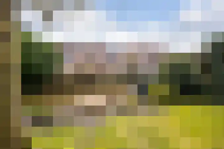 Schadijk 21 Veenendaal thumbnail 48