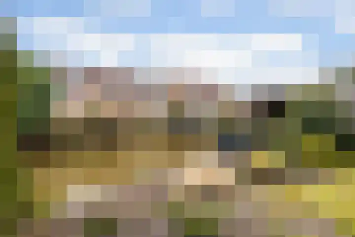 Schadijk 21 Veenendaal thumbnail 49