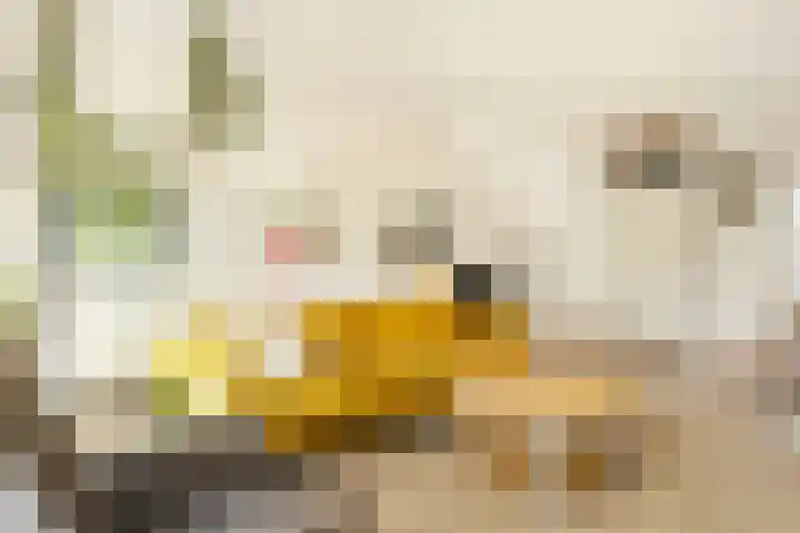 Schadijk 21 Veenendaal thumbnail 6