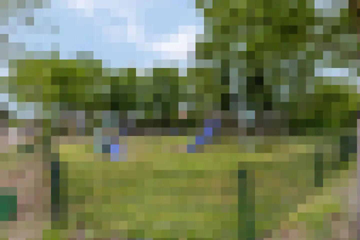 Schadijk 58 Veenendaal thumbnail 30