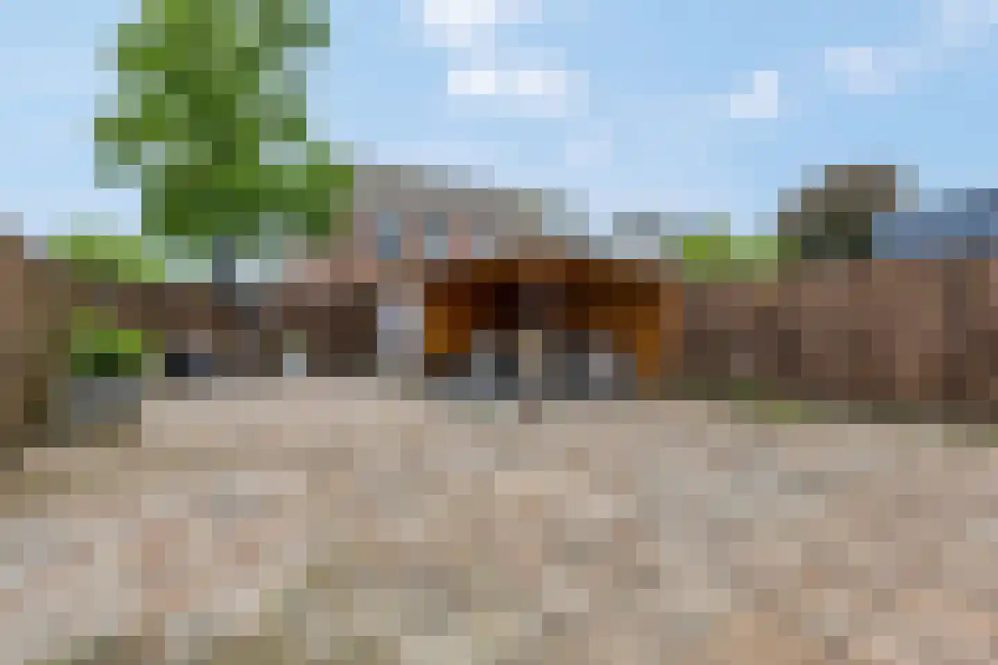 Schadijk 58 Veenendaal thumbnail 4
