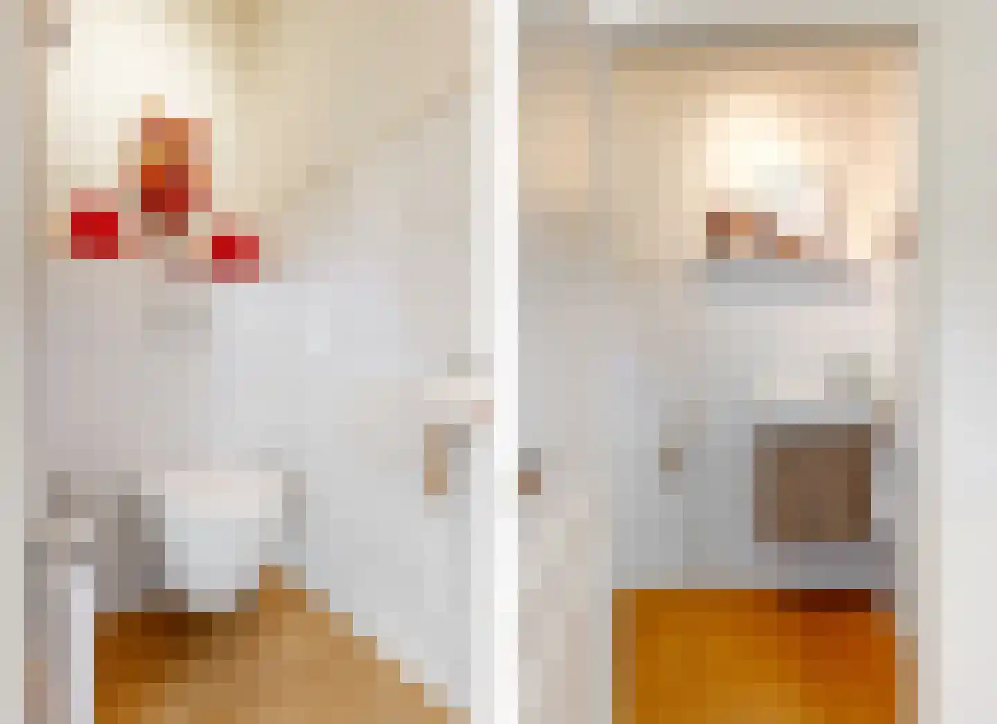 Schadijkerweg 25 Meterik thumbnail 12