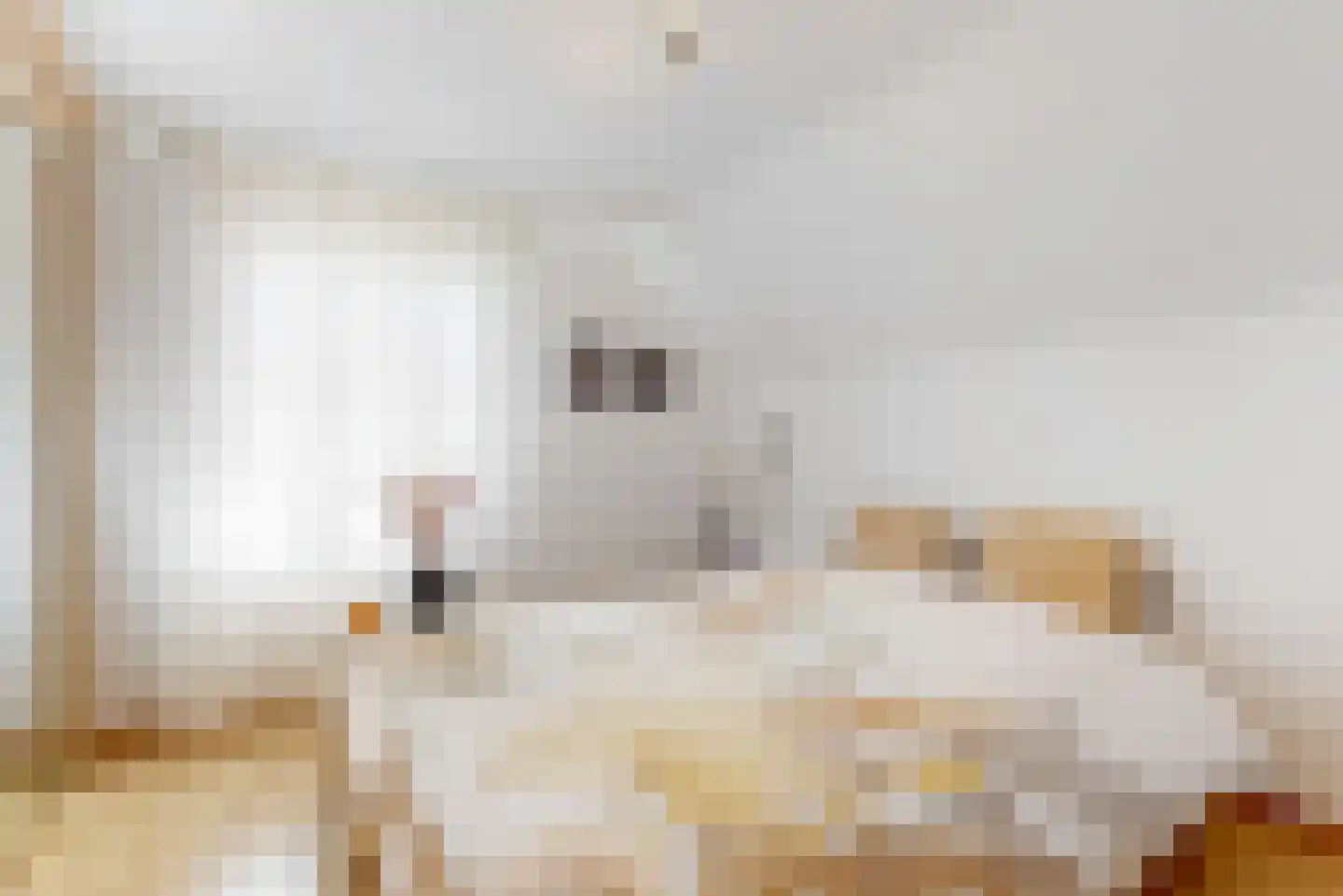 Schadijkerweg 25 Meterik thumbnail 13