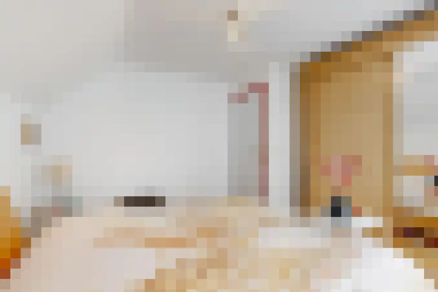 Schadijkerweg 25 Meterik thumbnail 14