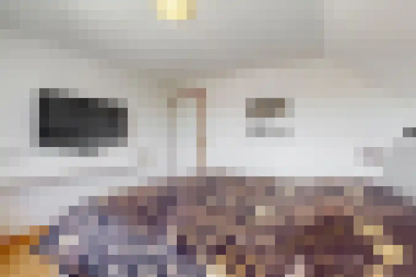 Schadijkerweg 25 Meterik thumbnail 18