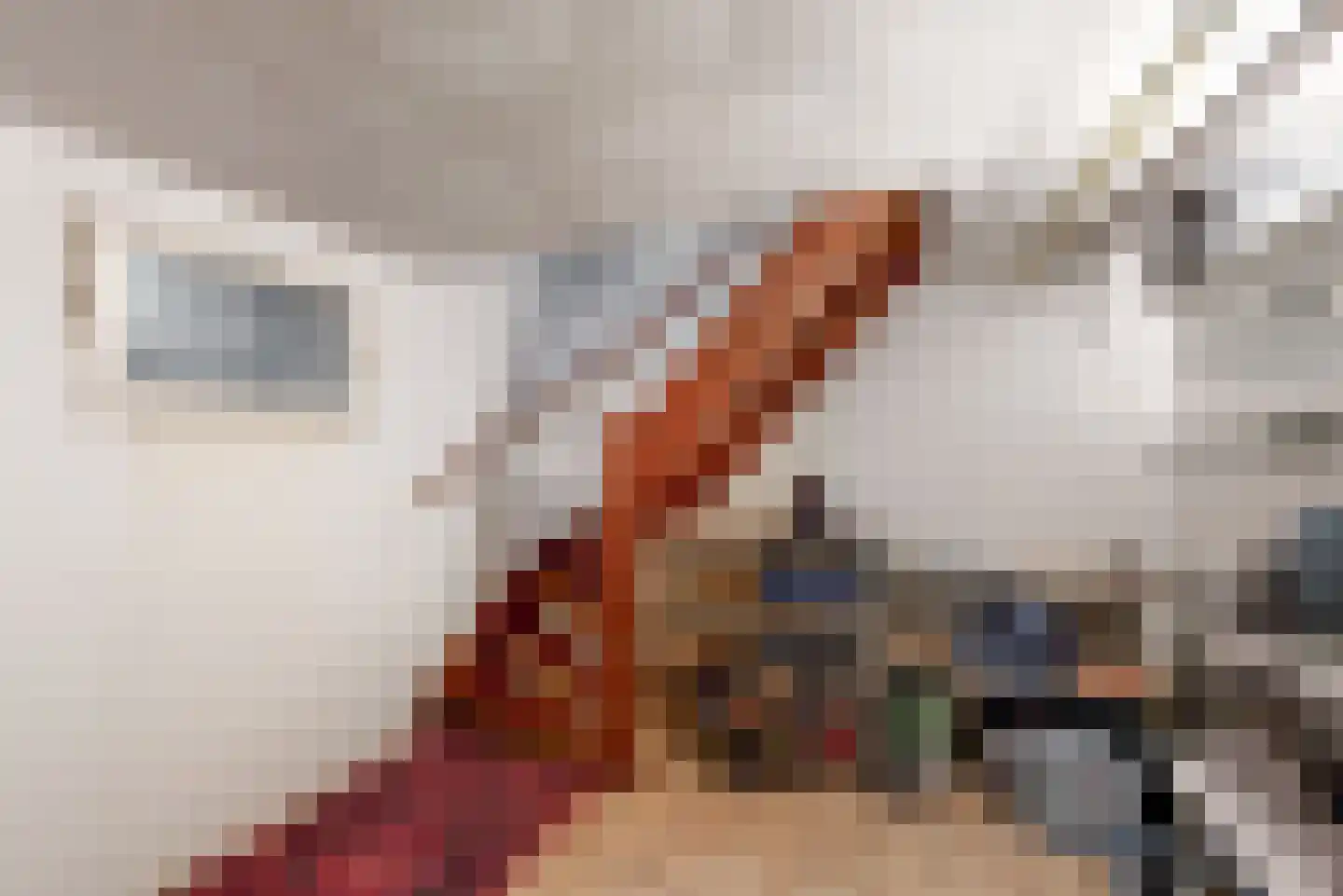 Schadijkerweg 25 Meterik thumbnail 23