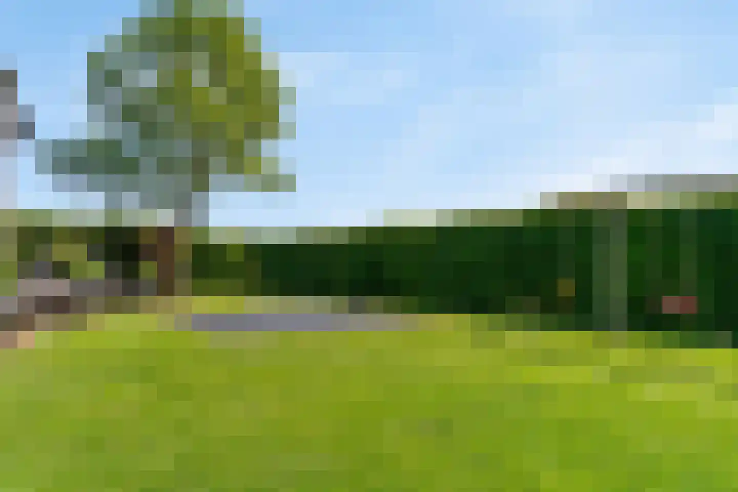 Schadijkerweg 25 Meterik thumbnail 27