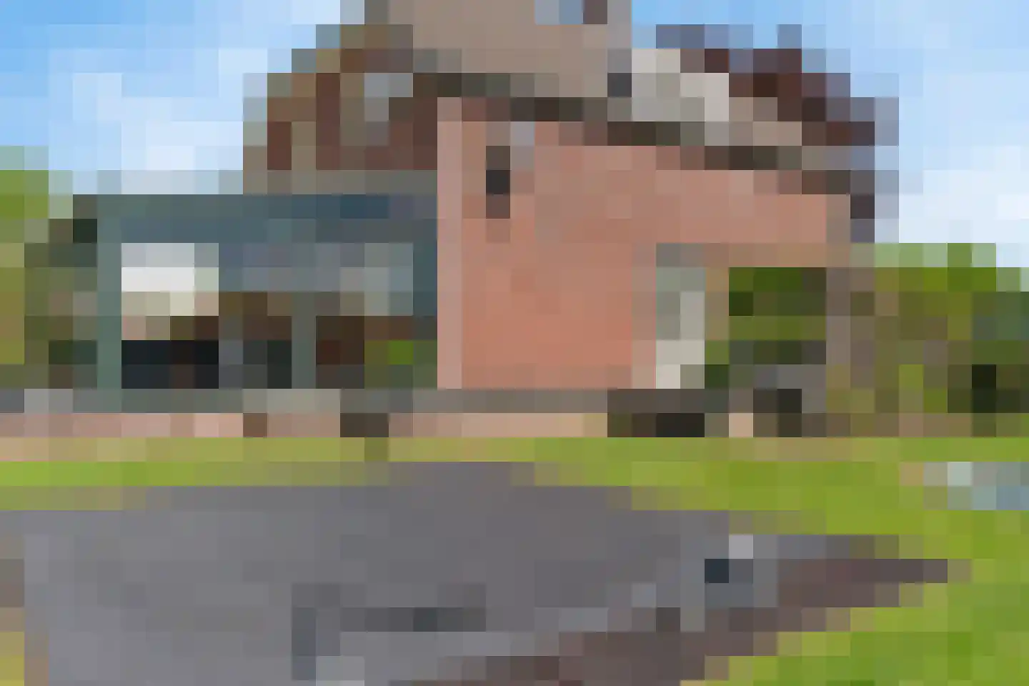 Schadijkerweg 25 Meterik thumbnail 28