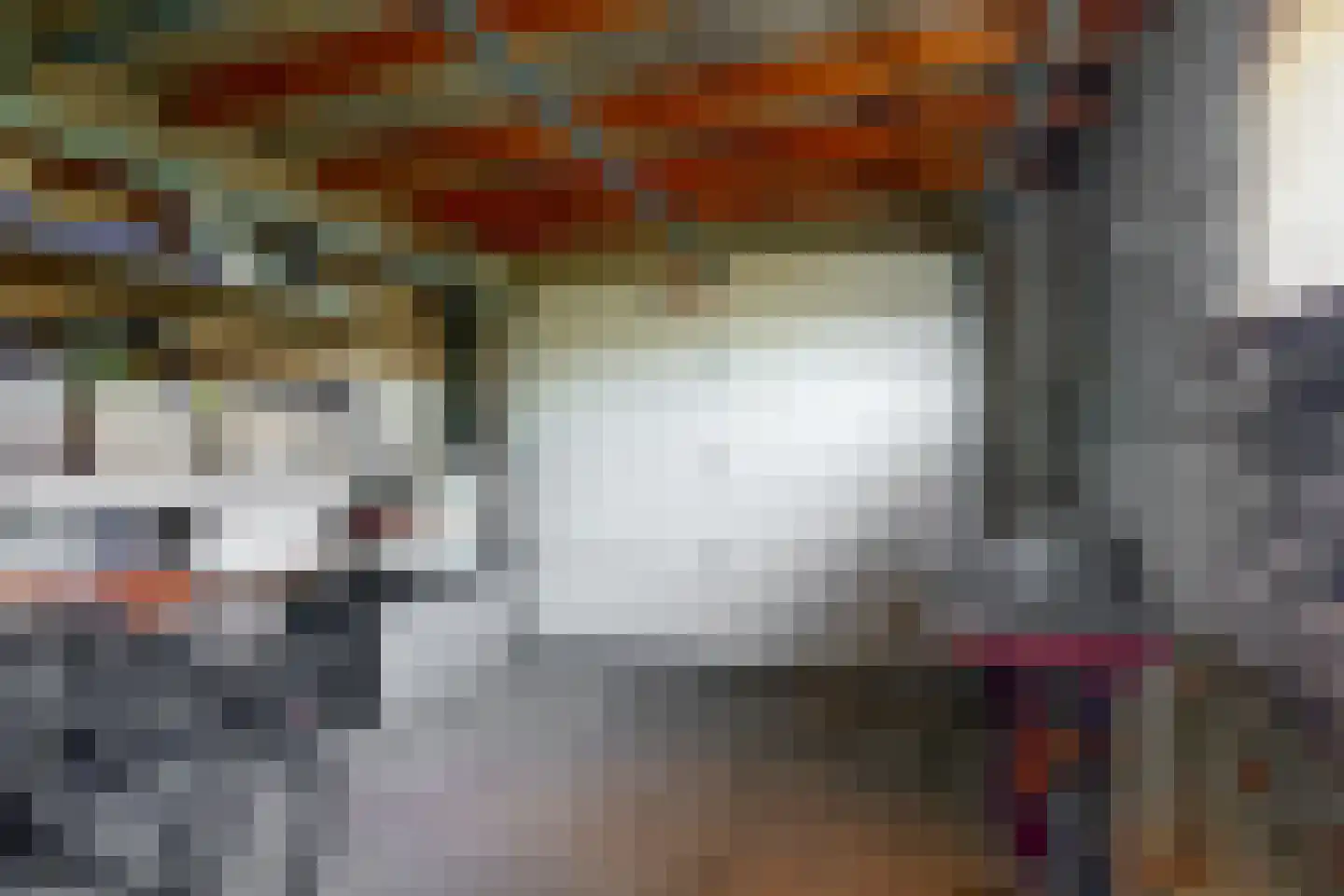 Schadijkerweg 25 Meterik thumbnail 33