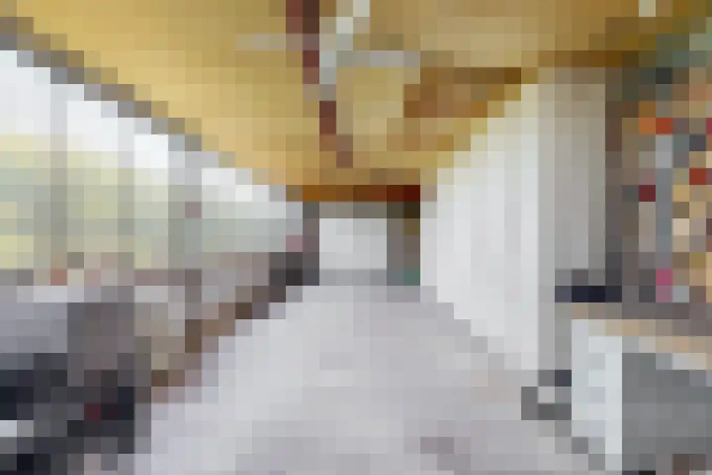 Schadijkerweg 25 Meterik thumbnail 34